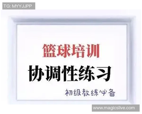 科学篮球：个人能力训练方法