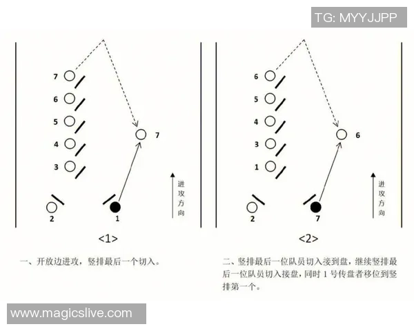 从零开始：飞盘战术完全攻略